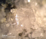 Mineralien Odenwald Erlenbach Prehnit