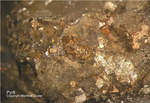 Mineralien Odenwald Erlenbach Pyrit