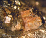 Mineralien Odenwald Erlenbach Pyrit