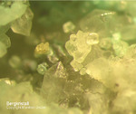 Österreich Mineralien Mockleiten Bergkristall Quarz