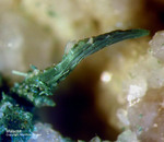 Österreich Mineralien Mockleiten Malachit