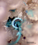 Österreich Mineralien Mockleiten Malachit