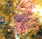 Österreich Mineralien Leogang Kupfer