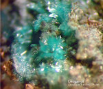 Österreich Mineralien Leogang Leogangit