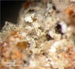 Eifel Mineralien Bellerberg Strätlingit