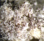 Eifel Mineralien Bellerberg Hercynit