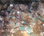 Griechenland Lavrion Mineralien Barbara Hemimorphit