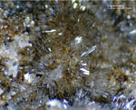 Griechenland Lavrion Mineralien Barbara Hemimorphit