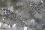 Griechenland Lavrion Mineralien Barbara Hemimorphit