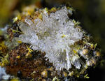 Griechenland Lavrion Mineralien Barbara Hemimorphit