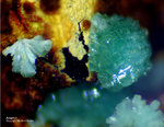 Griechenland Lavrion Mineralien Christiana Adamin 