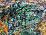 Griechenland Lavrion Mineralien Christiana Adamin 