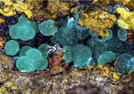 Griechenland Lavrion Mineralien Christiana Adamin 