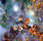 Griechenland Lavrion Mineralien Christiana Agardit-La