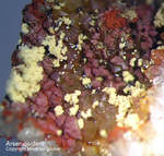 Griechenland Lavrion Mineralien Christiana Arseniosiderit