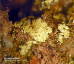Griechenland Lavrion Mineralien Christiana Arseniosiderit