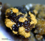Griechenland Lavrion Mineralien Christiana Arseniosiderit