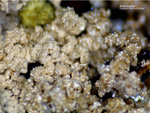 Griechenland Lavrion Mineralien Christiana Arseniosiderit