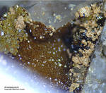 Griechenland Lavrion Mineralien Christiana Arseniosiderit