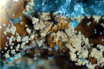 Griechenland Lavrion Mineralien Christiana Arseniosiderit
