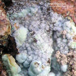 Mineralien Griechenland Lavrion Christiana Arsenogoyazit