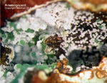 Mineralien Griechenland Lavrion Christiana Arsenogoyazit
