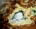Mineralien Griechenland Lavrion Christiana Arsenogoyazit
