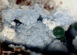 Mineralien Griechenland Lavrion Christiana Arsenogoyazit