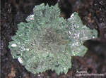 Mineralien Griechenland Lavrion Christiana Austinit