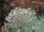 Mineralien Griechenland Lavrion Christiana Austinit