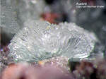 Mineralien Griechenland Lavrion Christiana Austinit