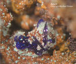 Griechenland Lavrion Mineralien Christiana Azurit