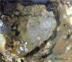 Griechenland Lavrion Mineralien Christiana Bergkristall