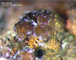 Griechenland Lavrion Mineralien Christiana Beudantit