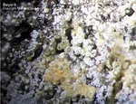 Griechenland Lavrion Mineralien Christiana Beyerit