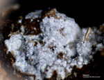 Griechenland Lavrion Mineralien Christiana Beyerit
