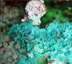 Griechenland Lavrion Mineralien Christiana Brochantit