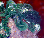Griechenland Lavrion Mineralien Christiana Brochantit