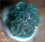 Griechenland Lavrion Mineralien Christiana Brochantit