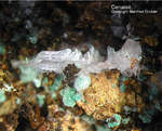 Griechenland Lavrion Mineralien Christiana Cerussit