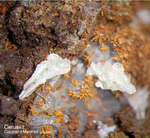 Griechenland Lavrion Mineralien Christiana Cerussit