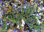 Lavrion Mineralien Christiana Chenevixit
