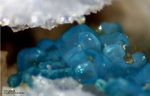 Griechenland Lavrion Mineralien Christiana Chrysokoll