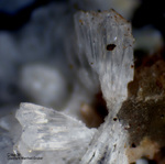 Mineralien Griechenland Lavrion Christiana Creedit