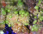 Mineralien Griechenland Lavrion Christiana Duftit