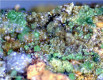 Mineralien Griechenland Lavrion Christiana Duftit