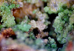 Mineralien Griechenland Lavrion Christiana Duftit