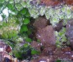 Mineralien Griechenland Lavrion Christiana Duftit