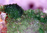 Mineralien Griechenland Lavrion Christiana Duftit