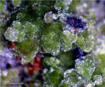 Mineralien Griechenland Lavrion Christiana Duftit